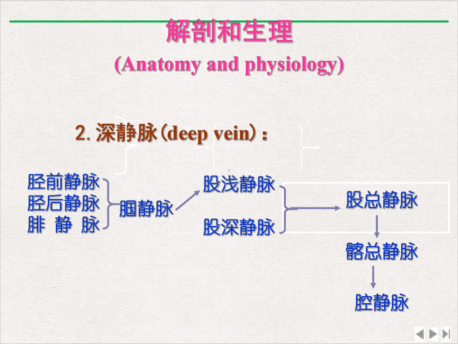 静脉曲张的护理课件-2.pptx_第3页