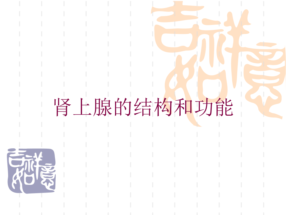 肾上腺的结构和功能培训课件.ppt_第1页