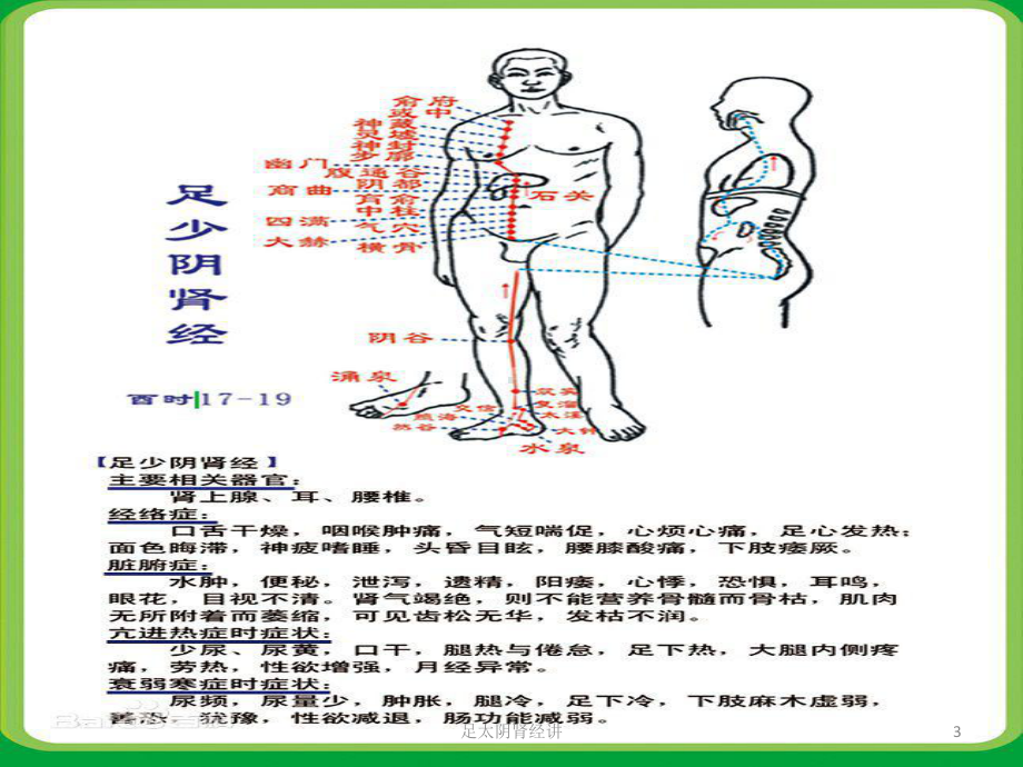 足太阴肾经讲课件.pptx_第3页