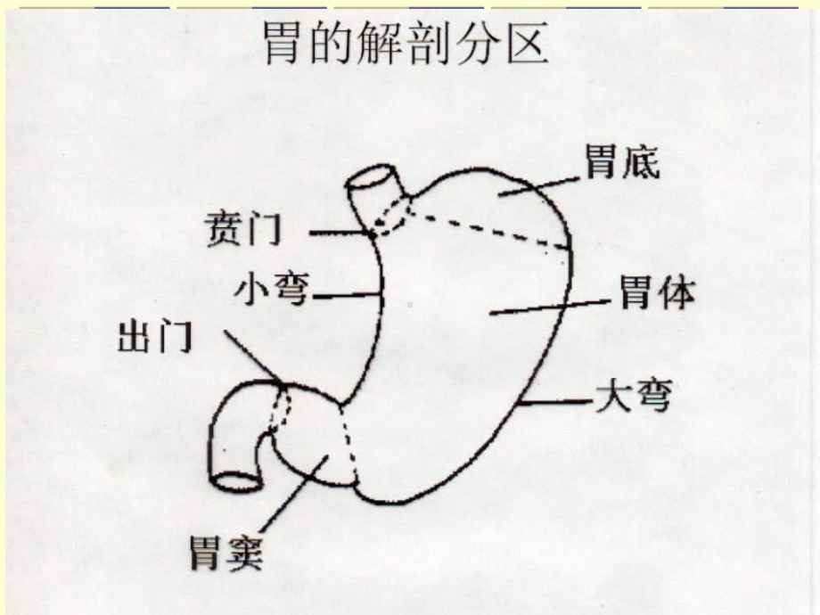 胃十二指肠外科疾病的诊断与治疗课件.ppt_第3页