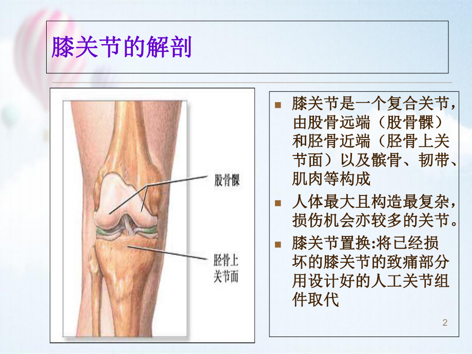 人工全膝关节置换术后护理医学课件.ppt_第2页