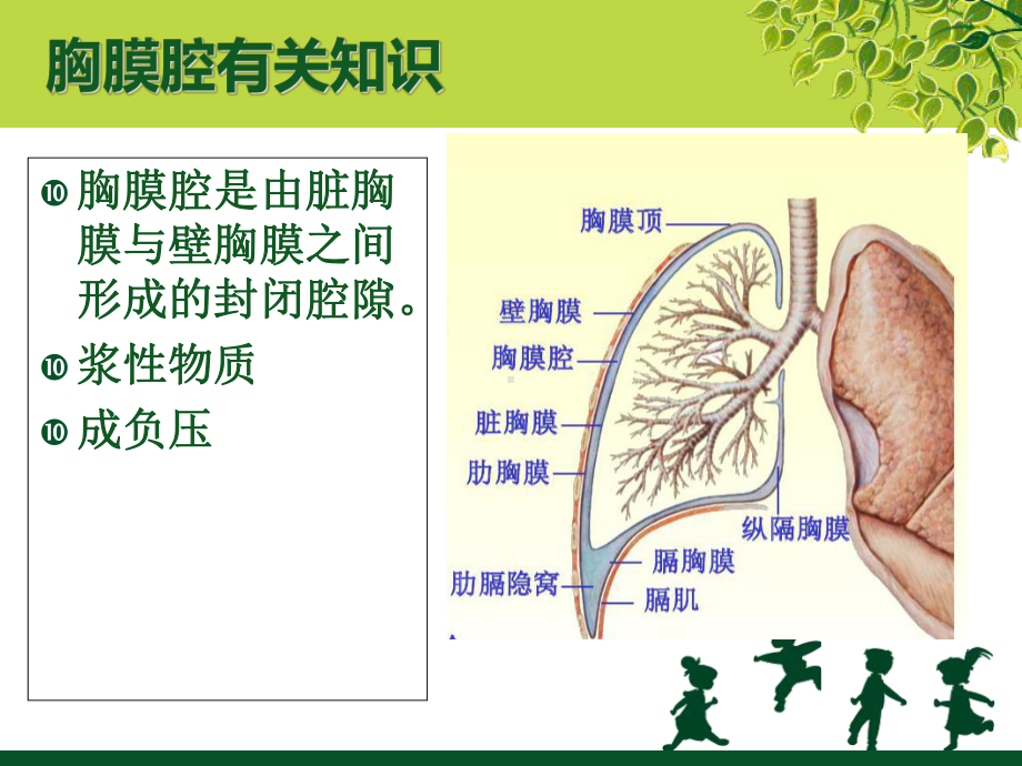 胸腔引流管的护理课件-2.ppt_第3页