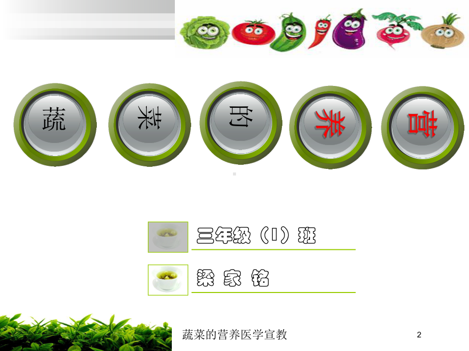 蔬菜的营养医学宣教培训课件.ppt_第2页