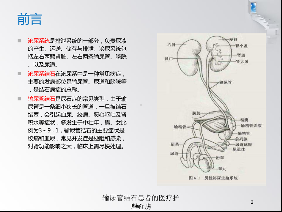 输尿管结石患者的医疗护理查房培训课件.ppt_第2页