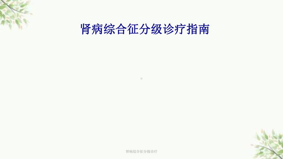 肾病综合征分级诊疗课件.ppt_第1页