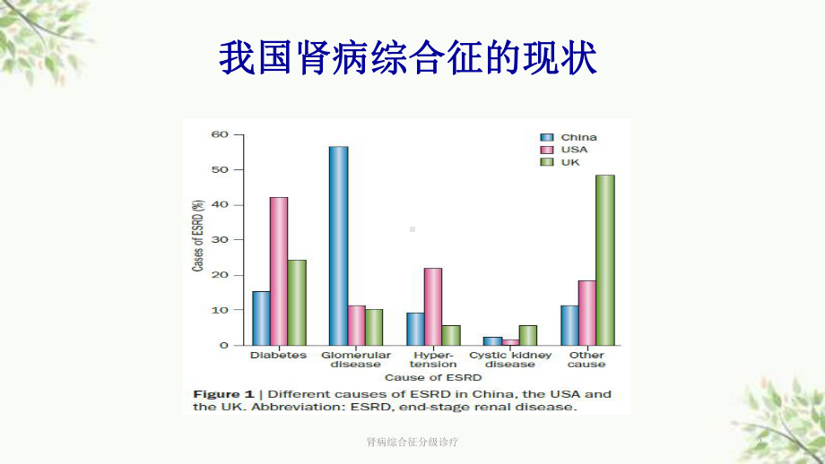 肾病综合征分级诊疗课件.ppt_第2页