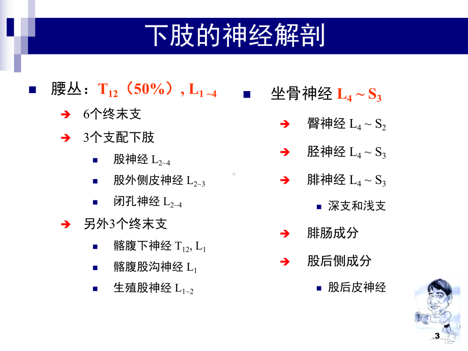 腰丛和坐骨神经阻滞参考课件.ppt_第3页