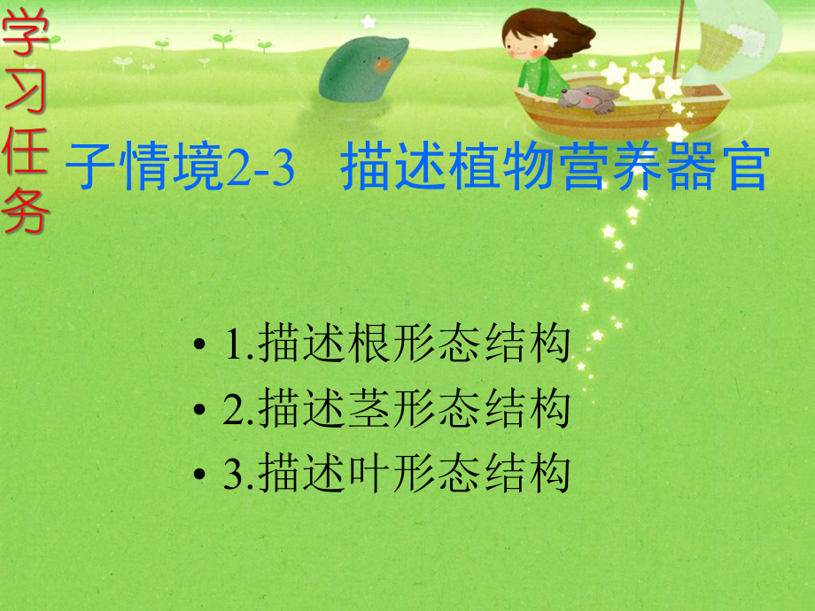 描述营养器官课件.ppt_第1页