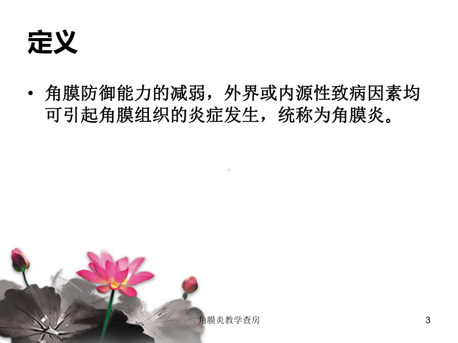 角膜炎教学查房培训课件.ppt_第3页