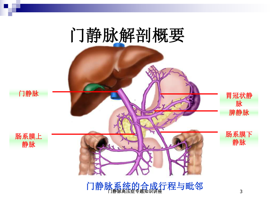 门静脉高压症专题知识讲座培训课件.ppt_第3页