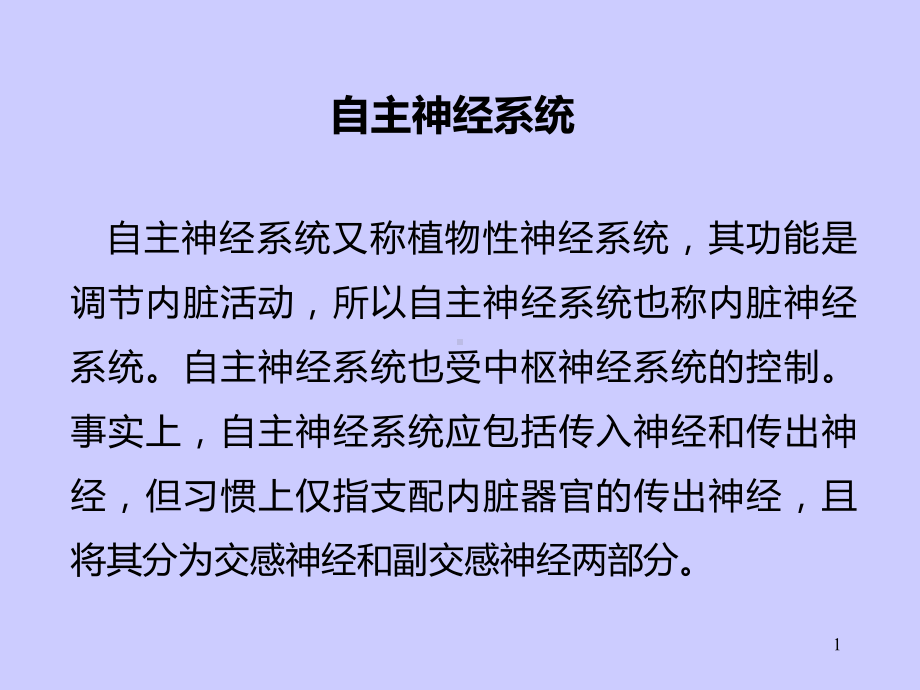 自主神经神经系统教学课件.ppt_第1页