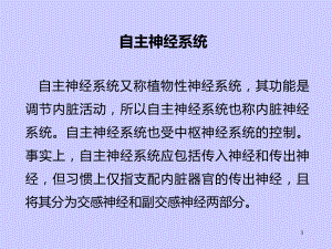 自主神经神经系统教学课件.ppt