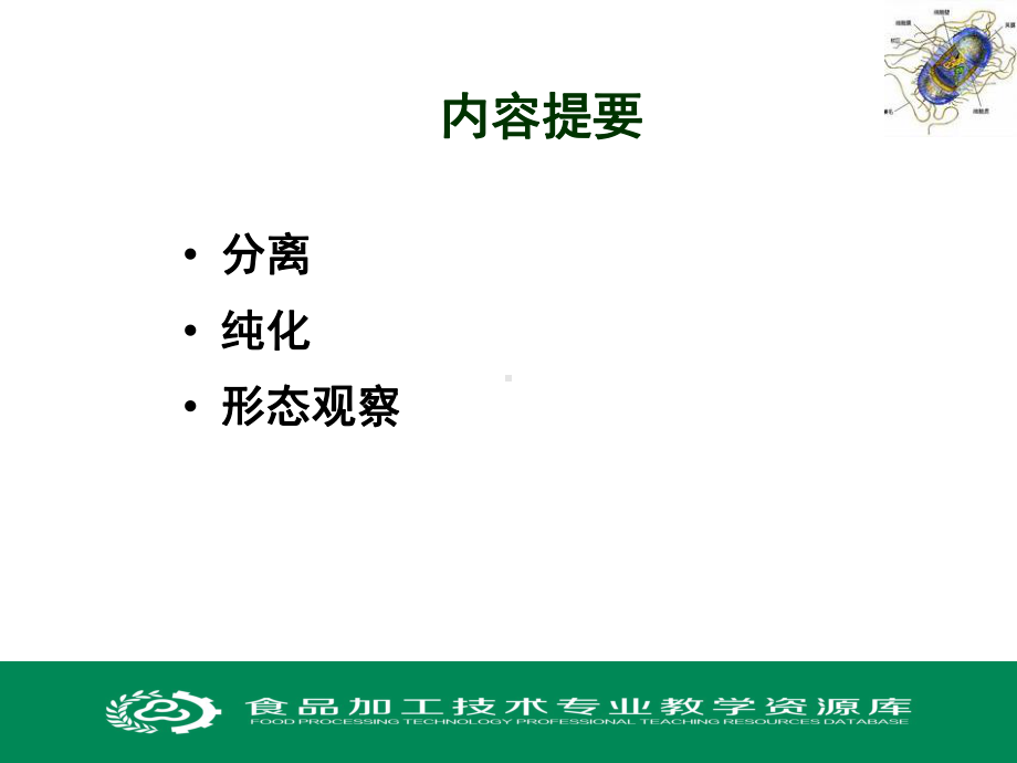 微生物的分离纯化课件.ppt_第2页