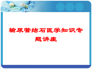 输尿管结石医学知识专题讲座培训课件.ppt