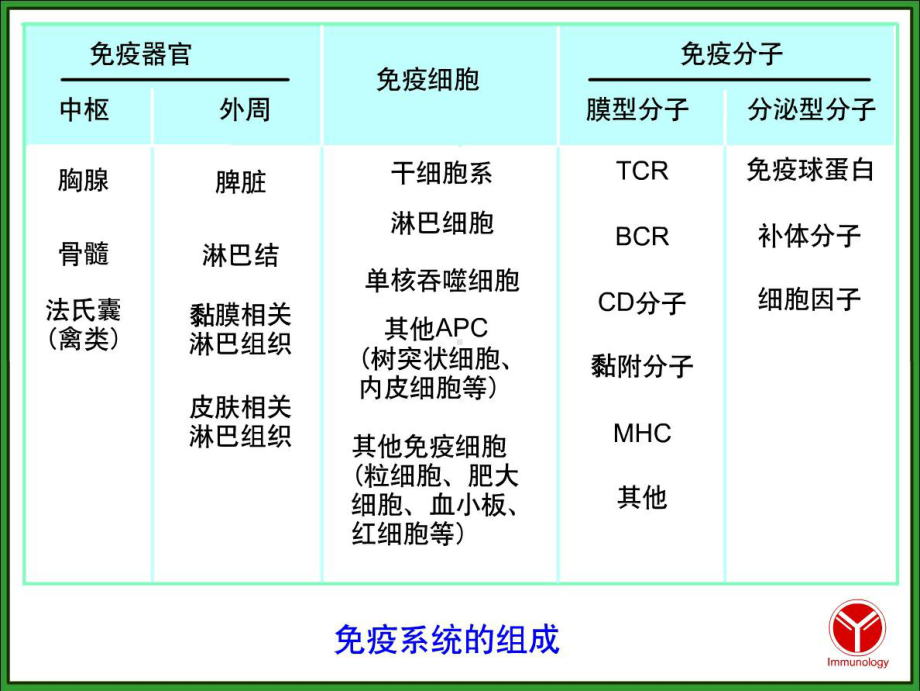 护理微生物学第三十五章免疫系统课件.ppt_第2页