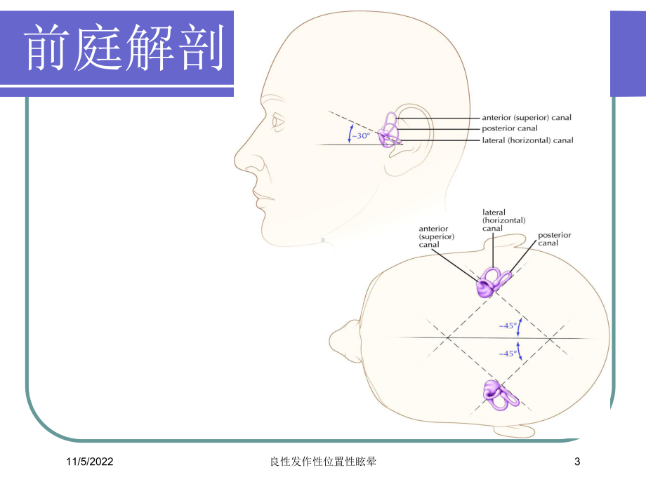 良性发作性位置性眩晕培训课件.ppt_第3页