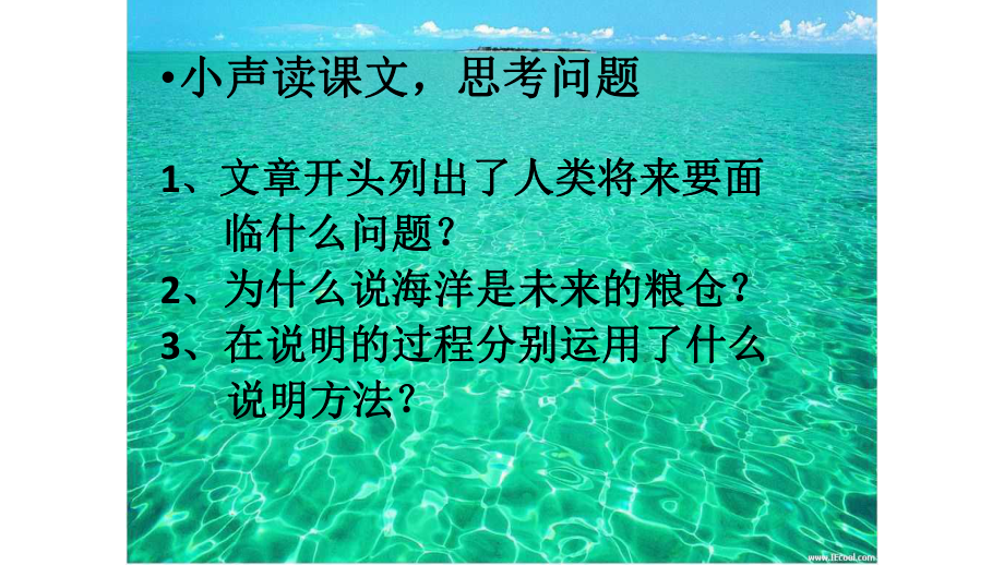 海洋是未来的粮仓课件.pptx_第3页