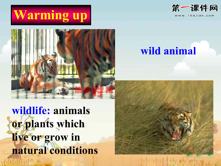 人教新课标高中英语必修二：Unit4-WIldlife-protection-Warming-up课件.ppt--（课件中不含音视频）_第1页