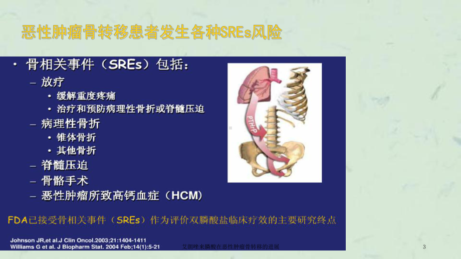 艾朗唑来膦酸在恶性肿瘤骨转移的进展课件.ppt_第3页