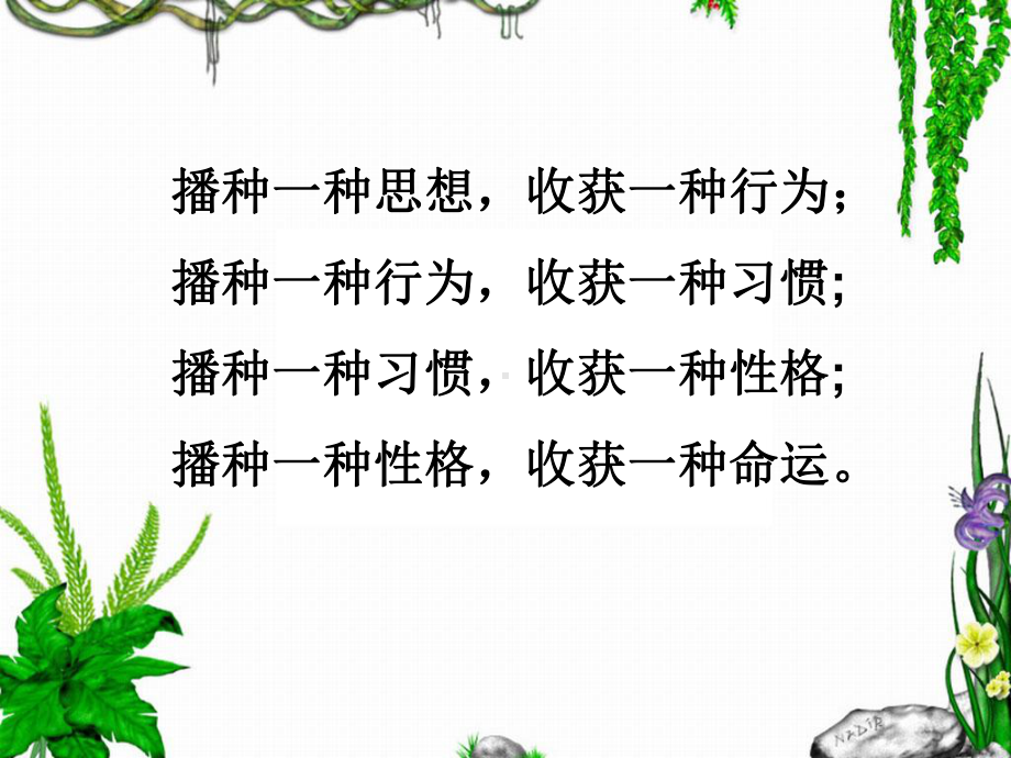 好心态好习惯好性格概要课件.ppt_第2页