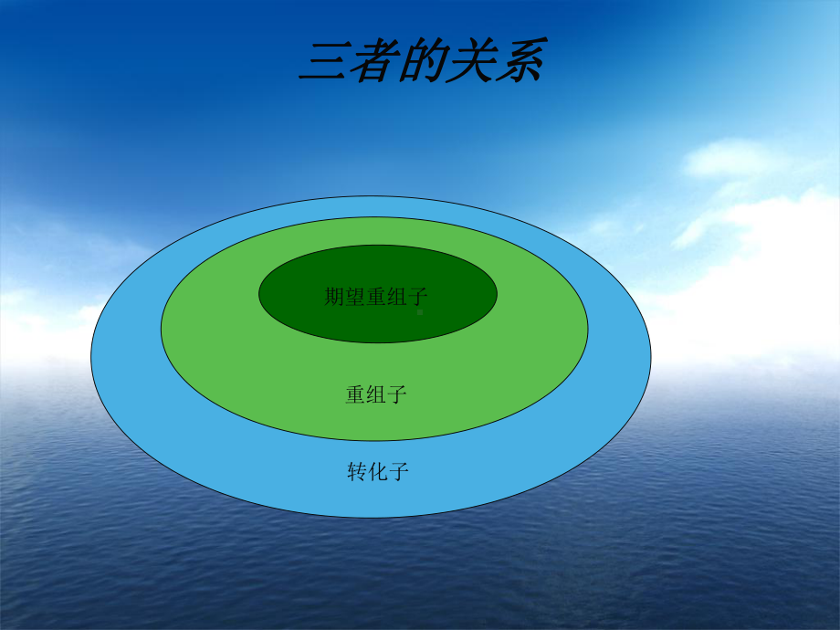 转化子的筛选与重组子的鉴定汇编课件.ppt_第2页