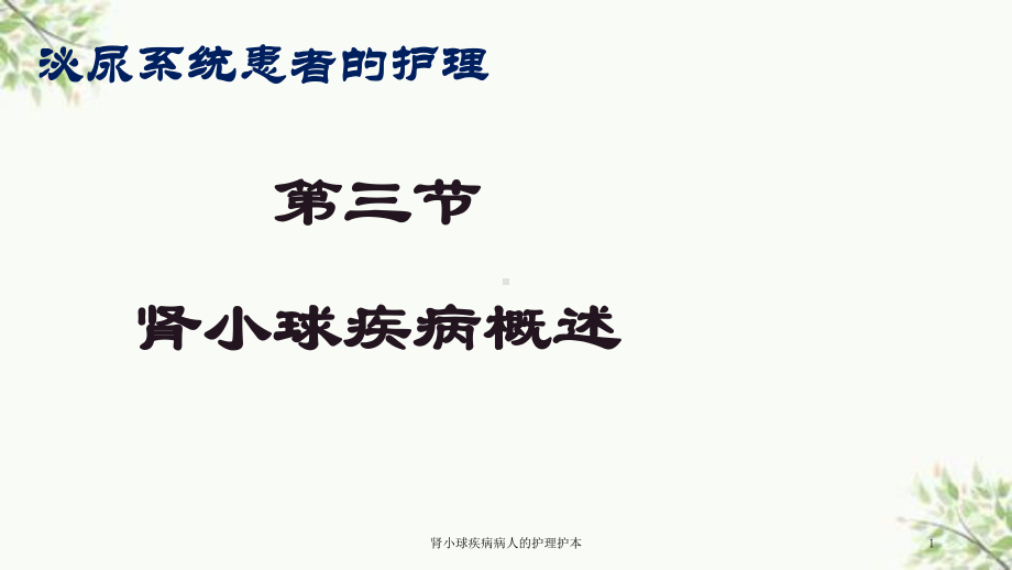 肾小球疾病病人的护理护本课件.ppt_第1页