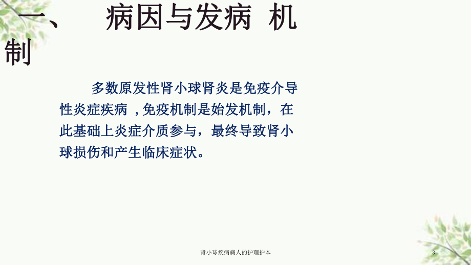 肾小球疾病病人的护理护本课件.ppt_第3页