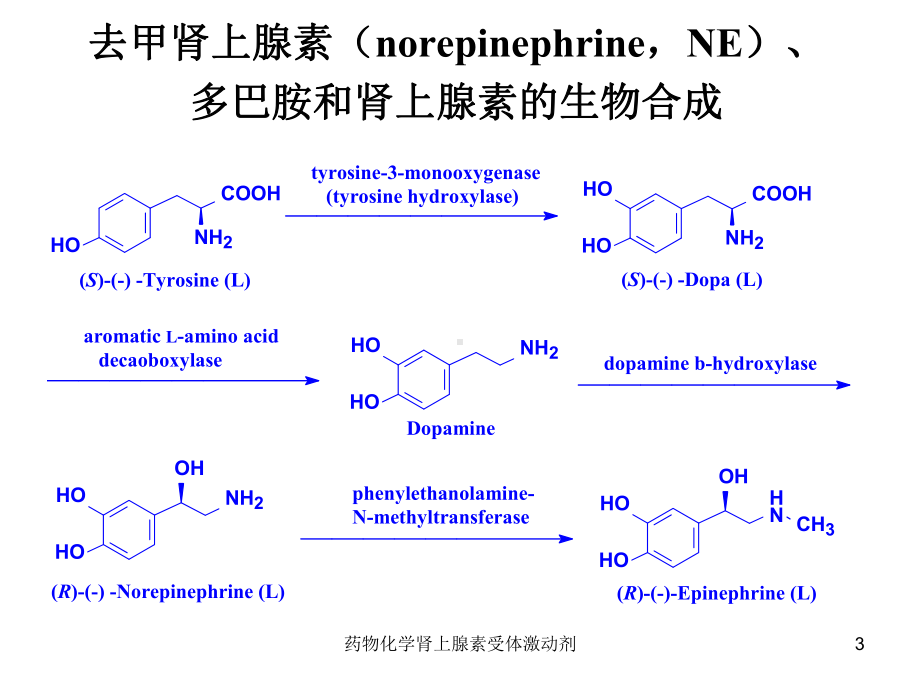 药物化学肾上腺素受体激动剂培训课件.ppt_第3页