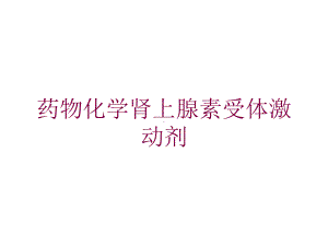 药物化学肾上腺素受体激动剂培训课件.ppt