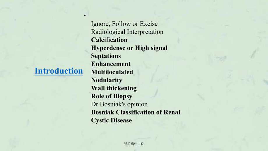 肾脏囊性占位课件.ppt_第2页