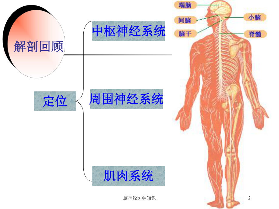 脑神经医学知识培训课件.ppt_第2页