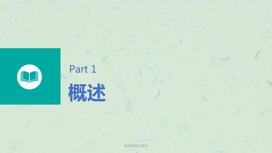 脑动脉侧支循环课件.ppt_第2页