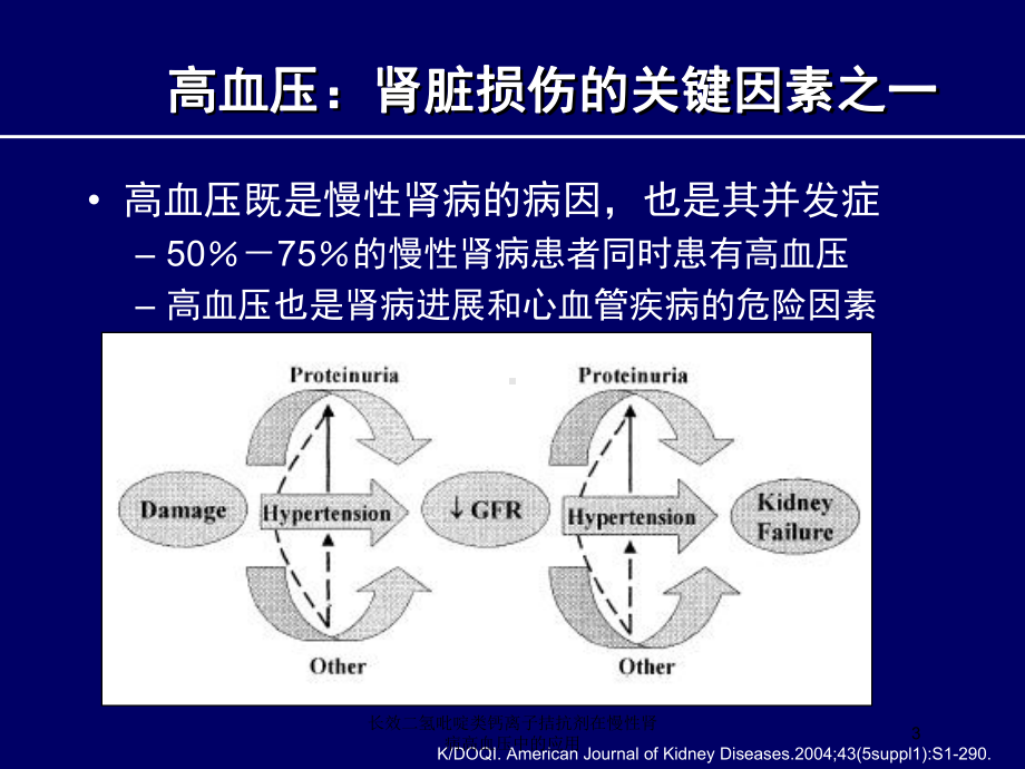 长效二氢吡啶类钙离子拮抗剂在慢性肾病高血压中的应用培训课件.ppt_第3页