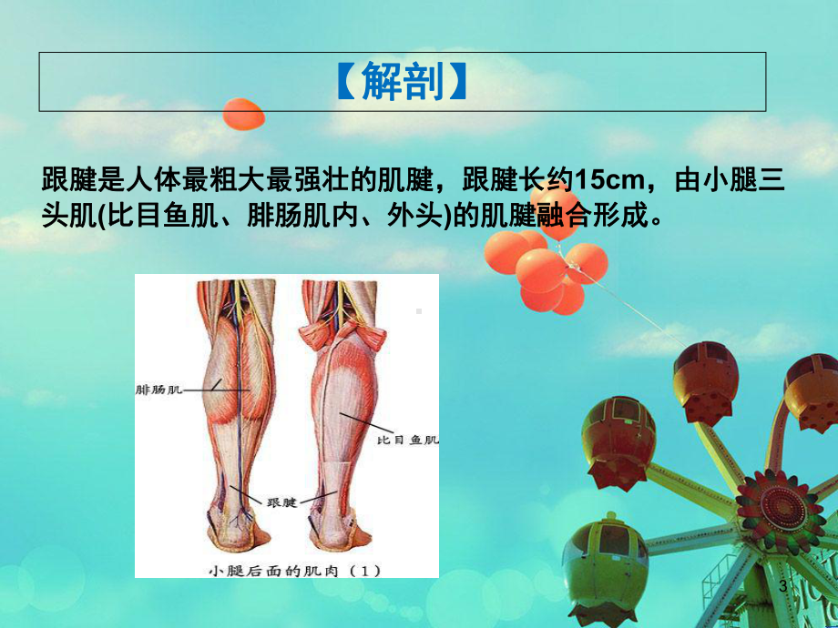 跟腱断裂教学查房(课堂)课件.ppt_第3页