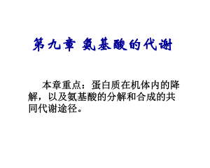 氨基酸的代谢-课件.ppt