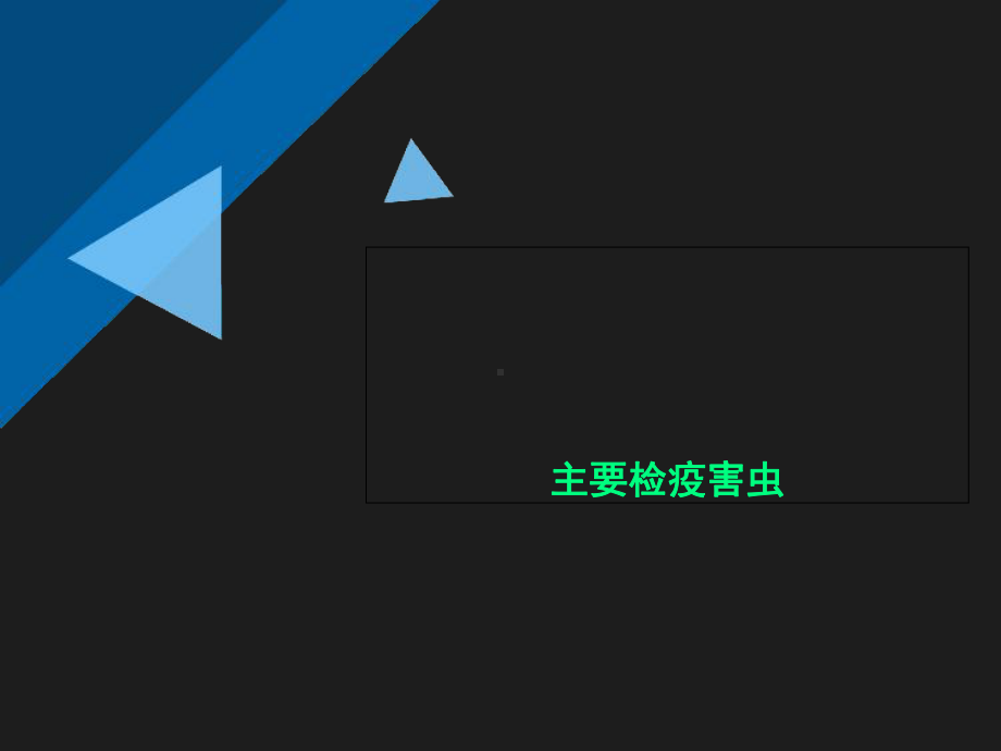 主要检疫害虫课件.ppt_第1页