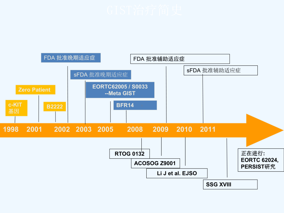 胃肠间质瘤的晚期治疗课件.ppt_第3页