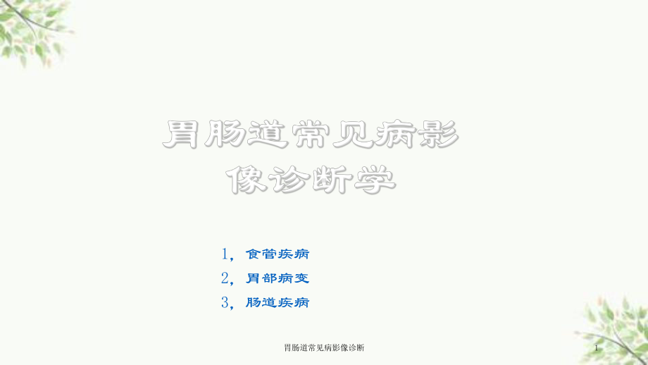 胃肠道常见病影像诊断课件.ppt_第1页