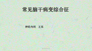 脑干病变综合征课件.ppt