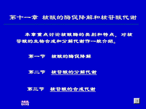 生物化学合工大第十二章核酸的酶促降解和核苷酸代谢课件.ppt