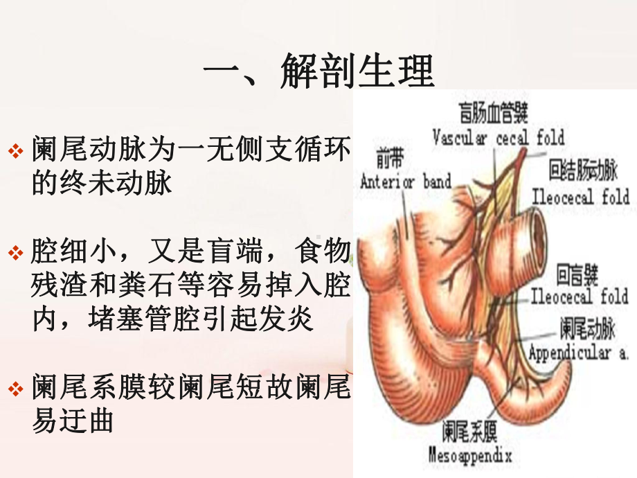 阑尾炎病人护理课件精美版.pptx_第3页