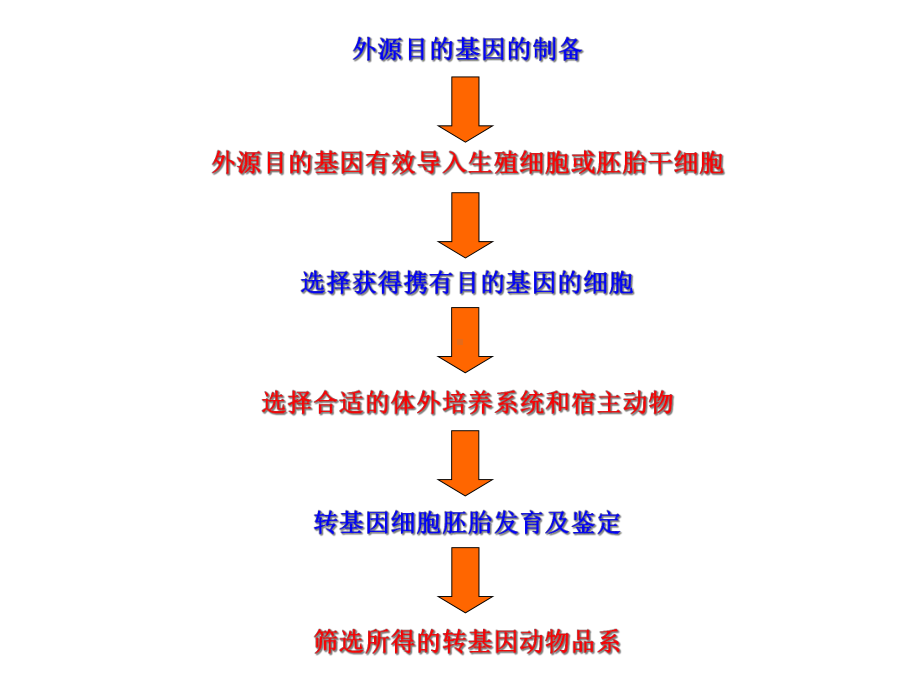 理科选修《生物安全与人类生活》课件第六章转基因动物生物安全.ppt_第3页