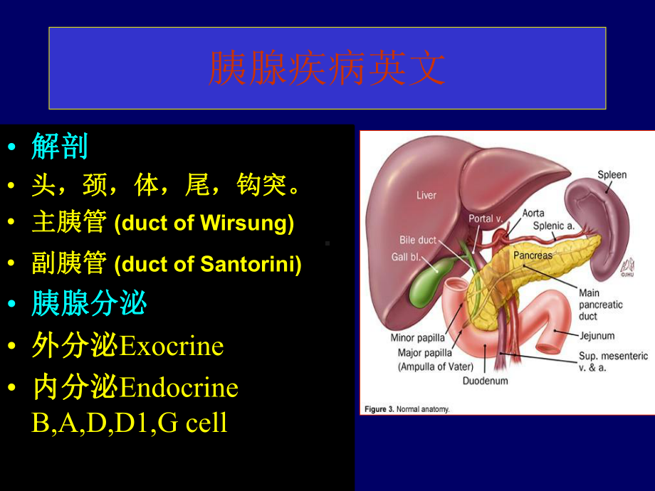 胰腺疾病英文-课件.ppt_第2页