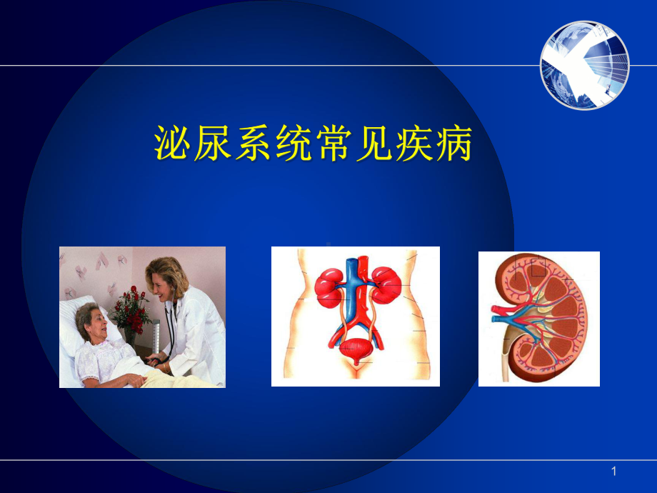 肾内科相关基础知识教学课件.ppt_第1页