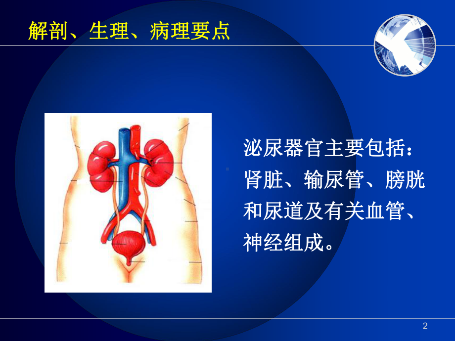 肾内科相关基础知识教学课件.ppt_第2页