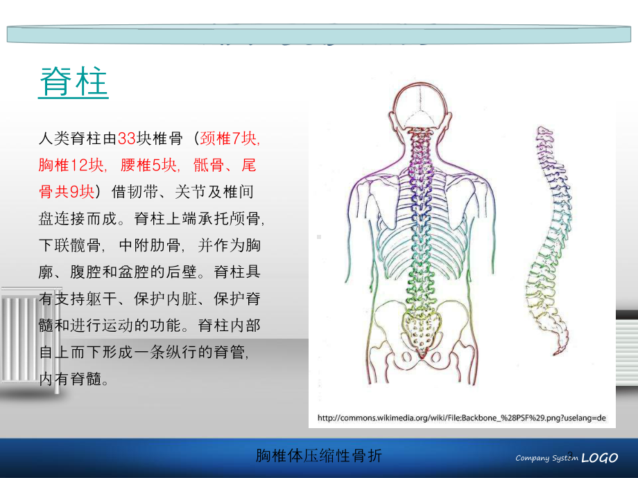 胸椎体压缩性骨折培训课件.ppt_第3页