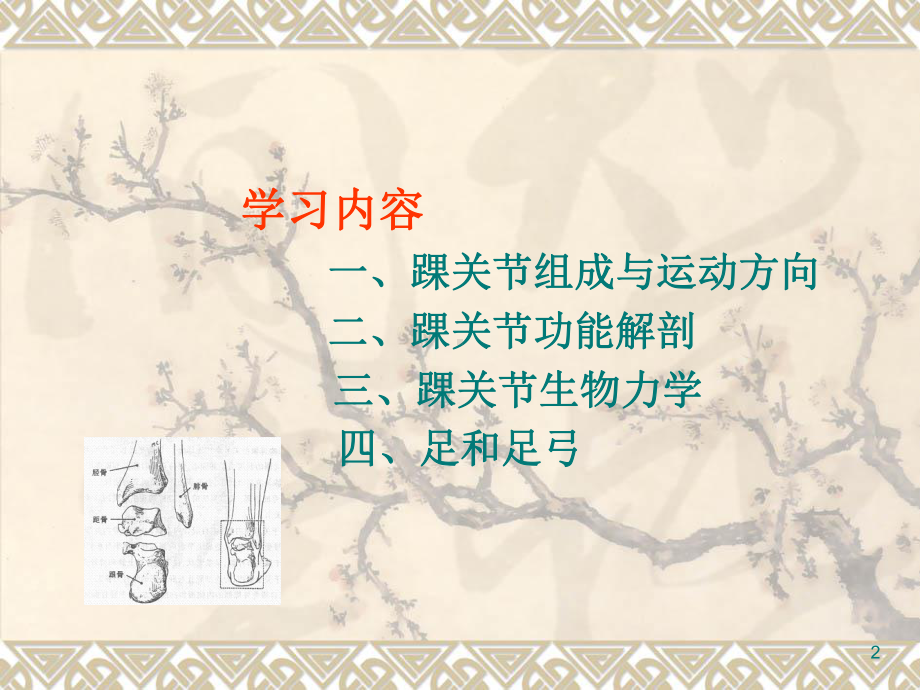 踝关节运动学培训课件.ppt_第2页