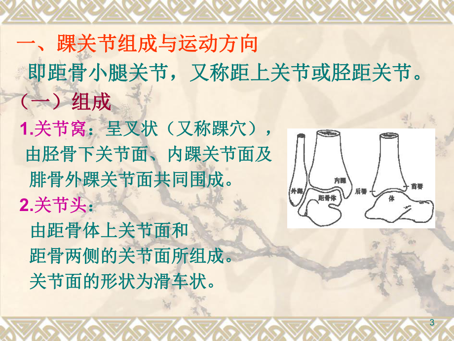 踝关节运动学培训课件.ppt_第3页