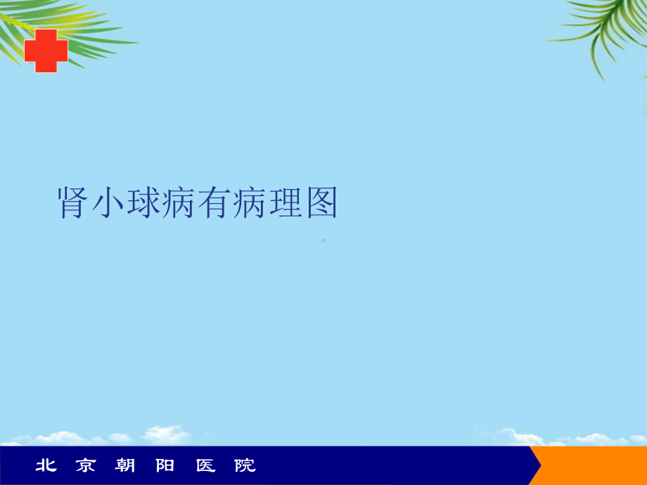 肾小球病有病理图最全课件.ppt_第1页