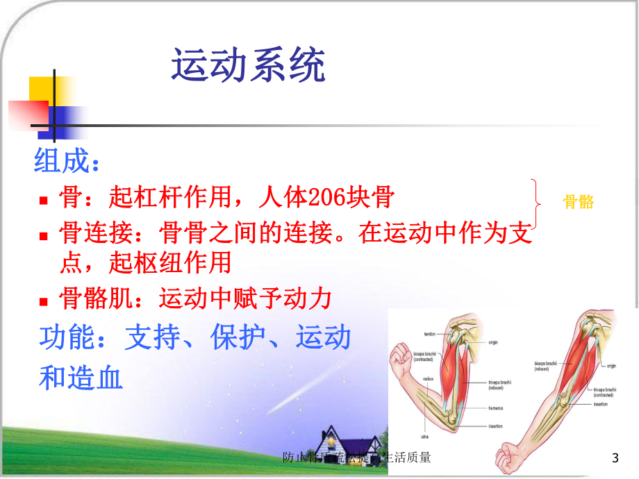 防止骨质疏松提高生活质量课件.ppt_第3页